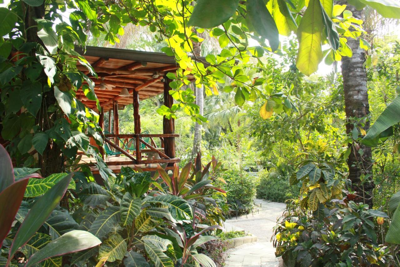 Hotel Guiones Nosara Esterno foto
